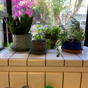 Meet your Posher, Patti